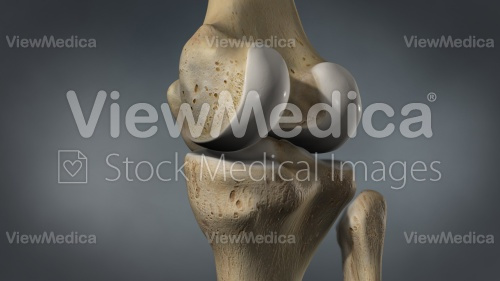 ViewMedica