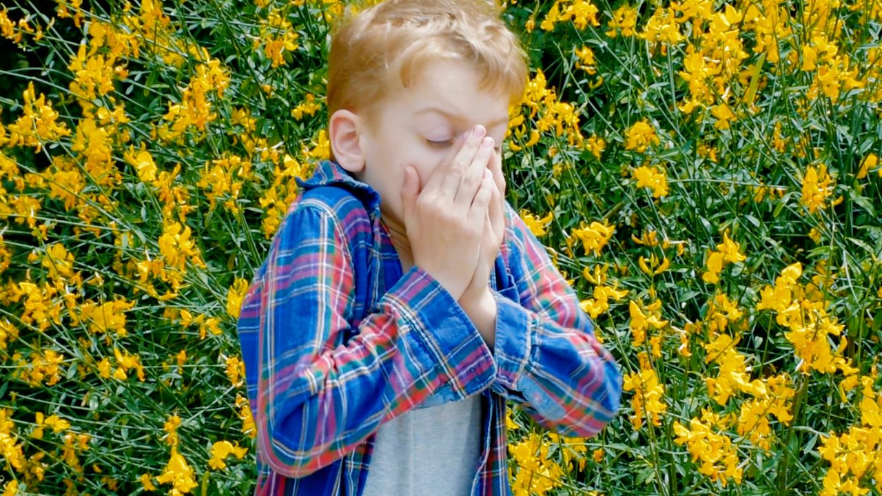 Allergies in Children