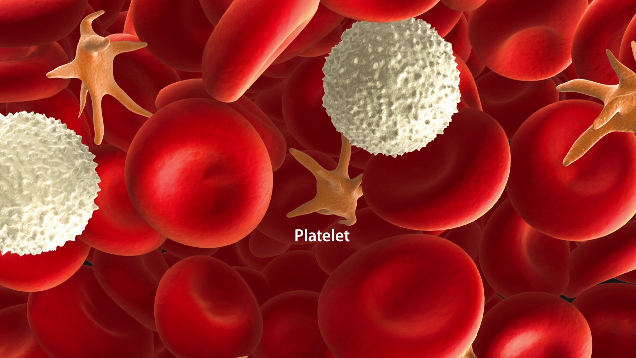 Low Platelet Count (Thrombocytopenia) - Willis-Knighton Health System -  Shreveport - Bossier City - Louisiana