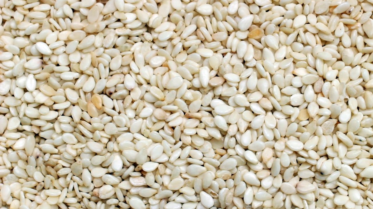 Sesame Allergy